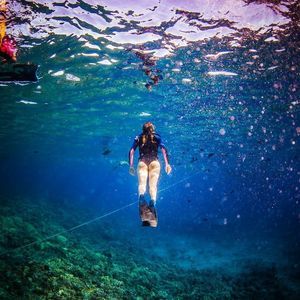 Meet your Posher, Maggie